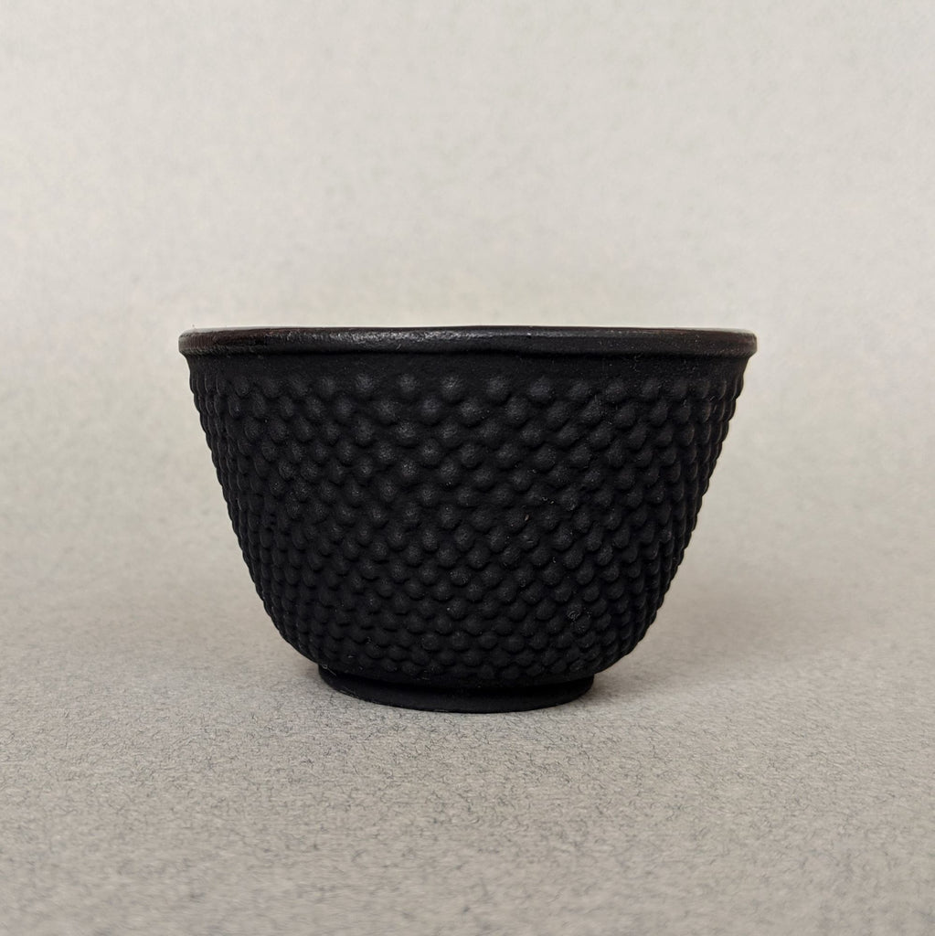 Black Ironware Tea Cup (Iwachu)
