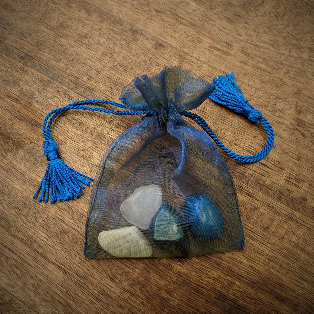 Irridescent Sapphire Organza Pouch with Tassels